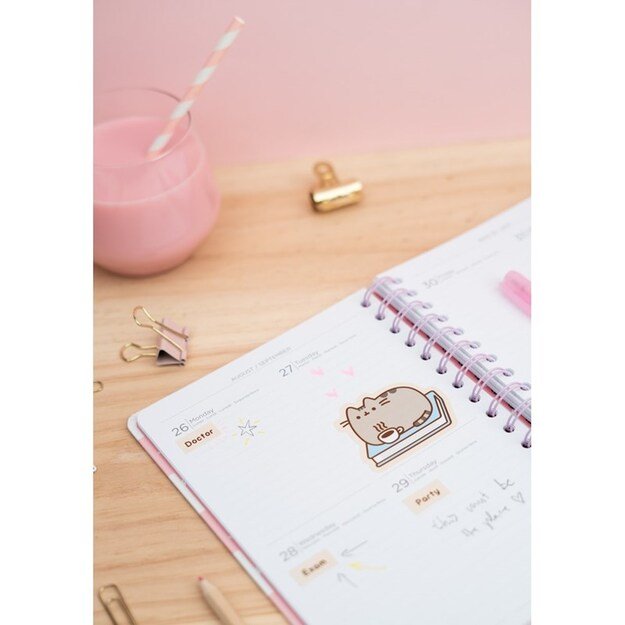 Pusheen – Planner 2019/2020 (14 x 16 cm)