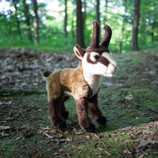 Plush chamois 20 cm ECO-FRIENDLY 4