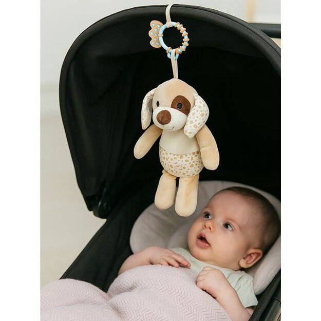 Pliušinis žaislas su vibracija Baby Mix rudas šuniukas 1