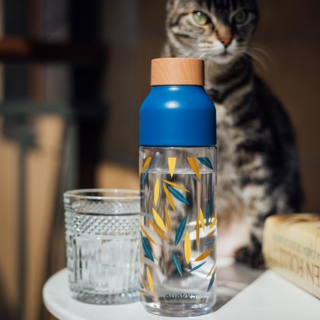 „Quokka Ice“ – „Ecozen“ vandens buteliukas 720 ml (bambukinis) 4