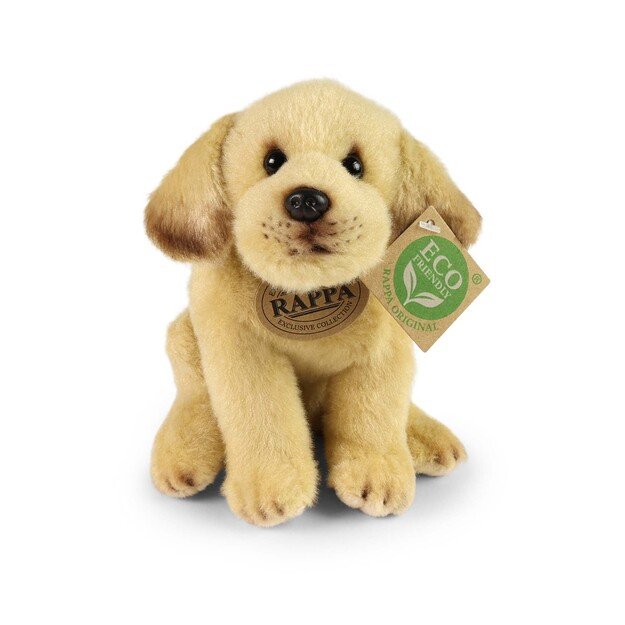 Pliušiniai labradorai, asorti, 20 cm, ekologiški 3