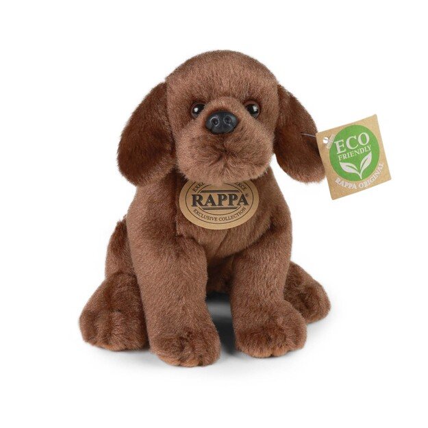 Pliušiniai labradorai, asorti, 20 cm, ekologiški 2