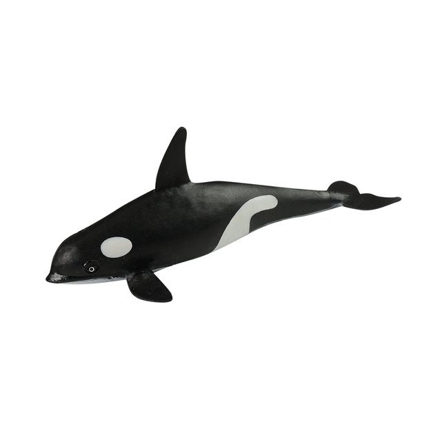 Sea animals 6 pcs in a box 1