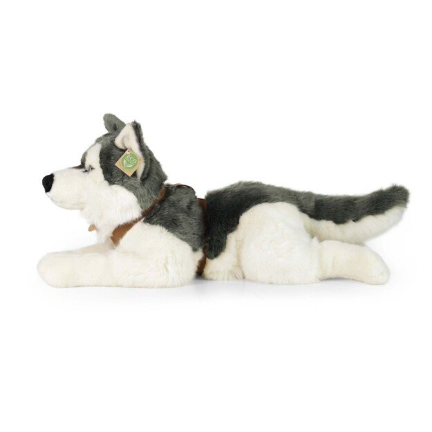 Plush Husky 60 cm ECO-FRIENDLY 3
