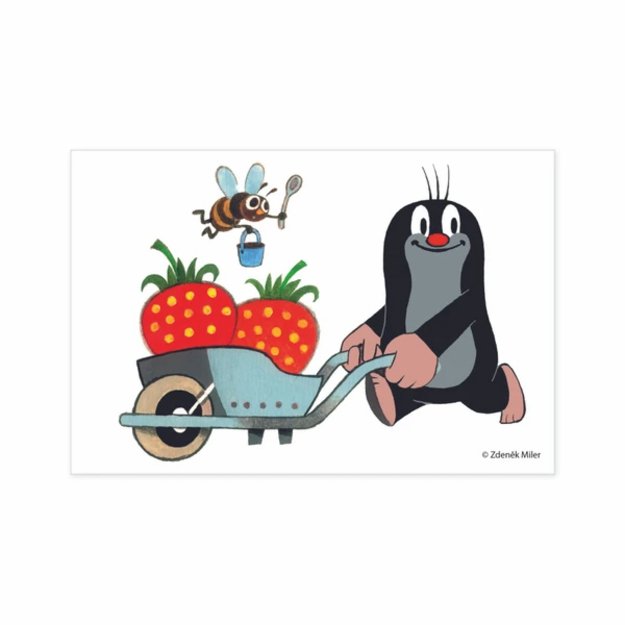 Kurmio kubas 6 kubeliai 2