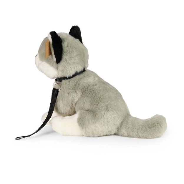 Plush husky dog 28 cm ECO-FRIENDLY 4