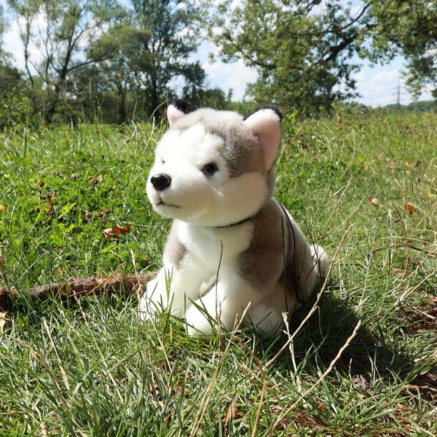 Plush husky dog 28 cm ECO-FRIENDLY 6