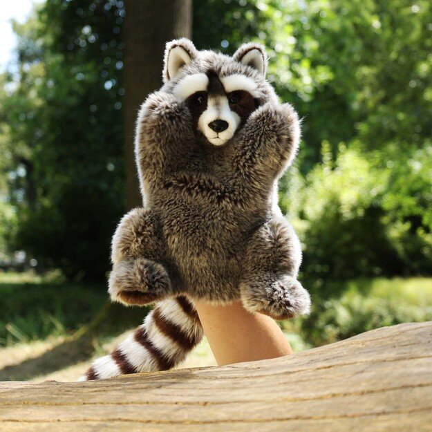 Plush raccoon hand puppet 28 cm ECO-F. 5