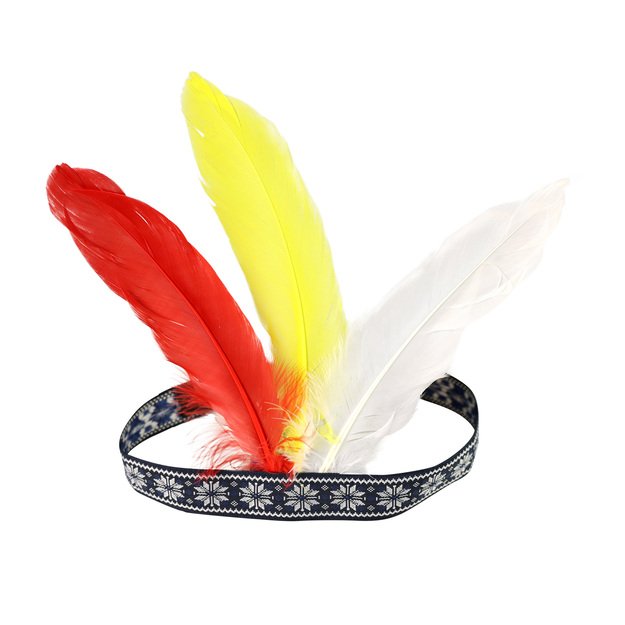 Indiškas galvos raištis su plunksnomis suaugusiems 3