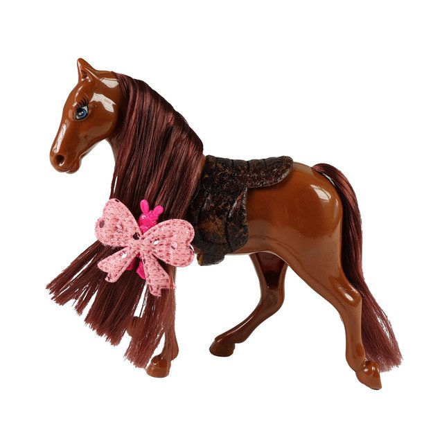 Arklio šukavimas su aksesuarais 3