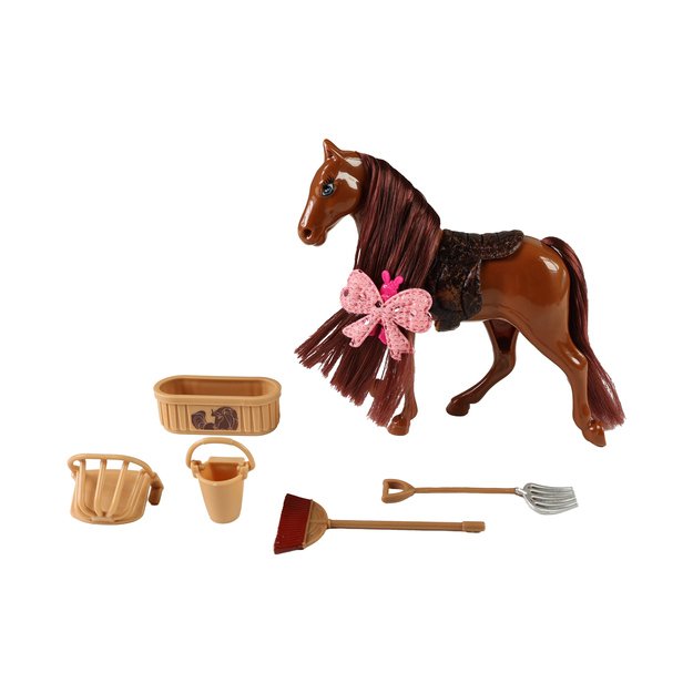 Arklio šukavimas su aksesuarais 1