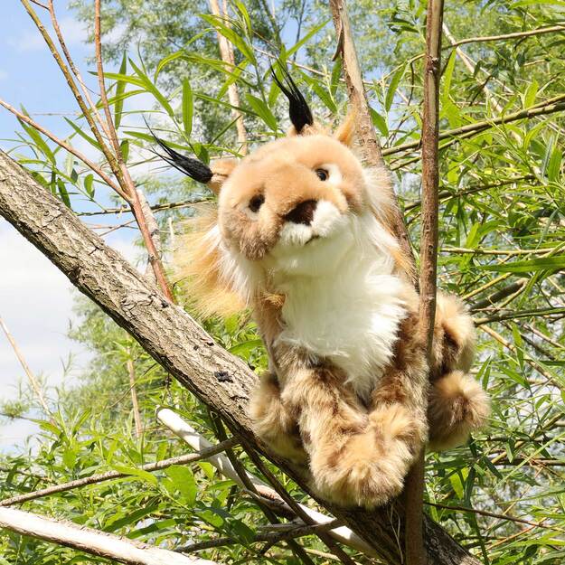 Plush lynx 25 cm ECO-FRIENDLY 4