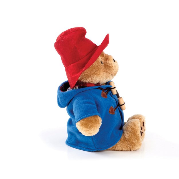 Rainbow Medium Plush Paddington Bear 5