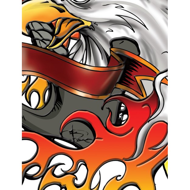 Nexgen Skins su 3D efektu, skirtas iPad 2/3/4 (Iron Eagle 3D) 2