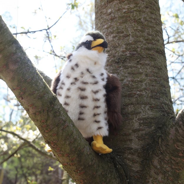 Plush hawk 23 cm ECO-FRIENDLY