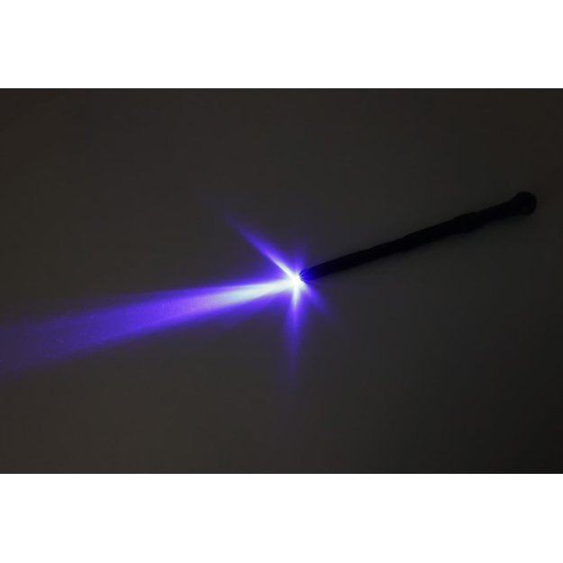 the magic wand with sound and light