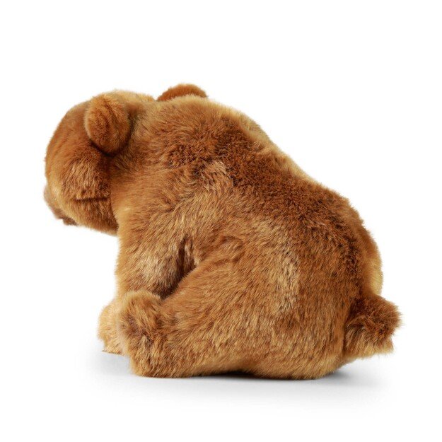 Plush Grizzly bear 30 cm ECO-FRIENDLY