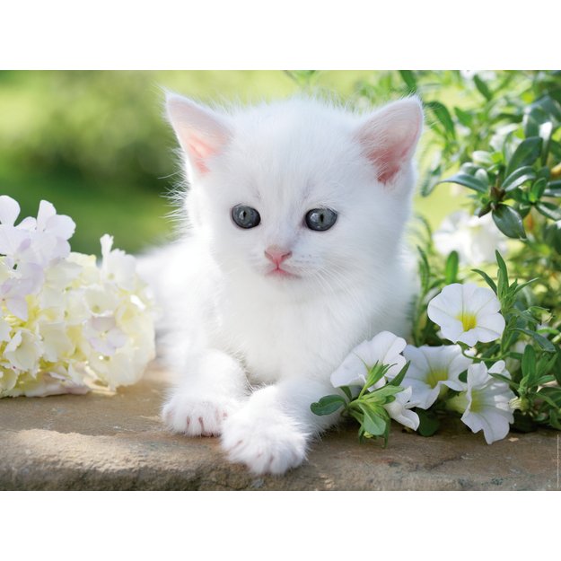 Ravensburger Puzzle 1500 pc White Kitten