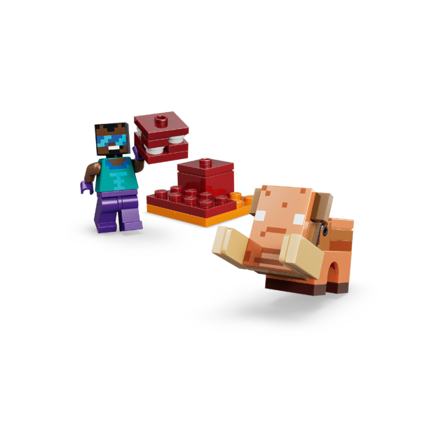LEGO Minecraft Nether & End Portal Journey