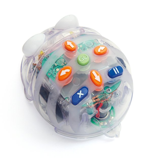 TTS Bee-Bot and Blue-Bot Programmable Robot Classroom Pack