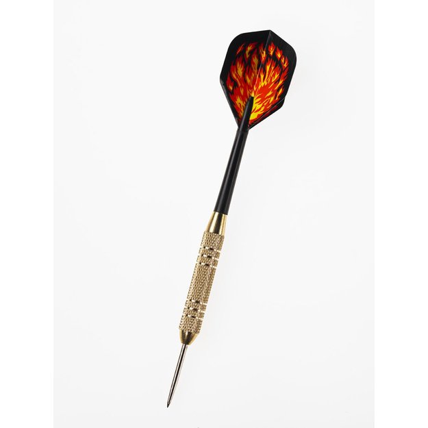 Gamesson Steeltip Darts: Beast, 20 g