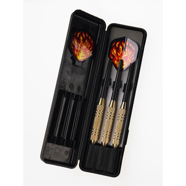 Gamesson Steeltip Darts: Beast, 20 g