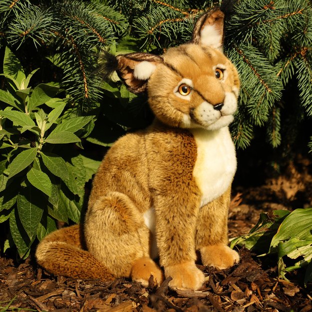 Pliušinis karakalis 35 cm EKOLOGIŠKAS 6