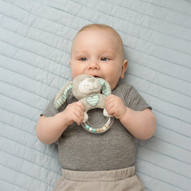 Baby Mix pliušinis šunų barškutis mėtinis 1