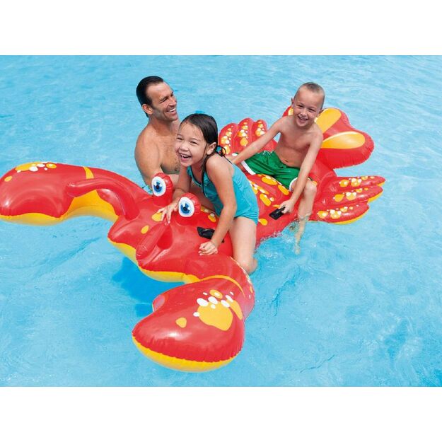 Pripučiamas šuolis. Omaras, 214 x 137 cm 3