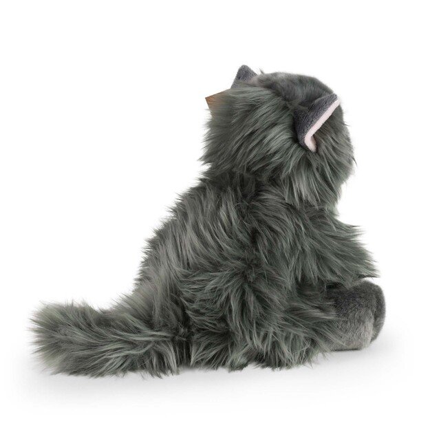Pliušinis persų katinas 30 cm EKOLOGIŠKAS 4