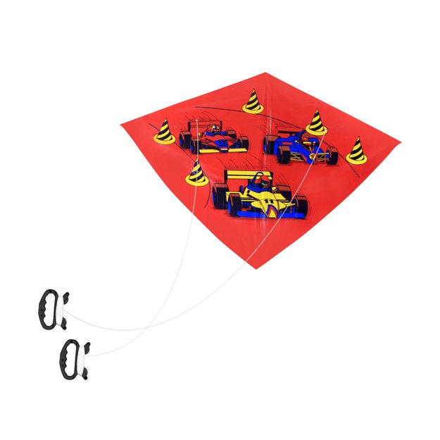 skraidantis aitvaras, 110 x 71 cm 3