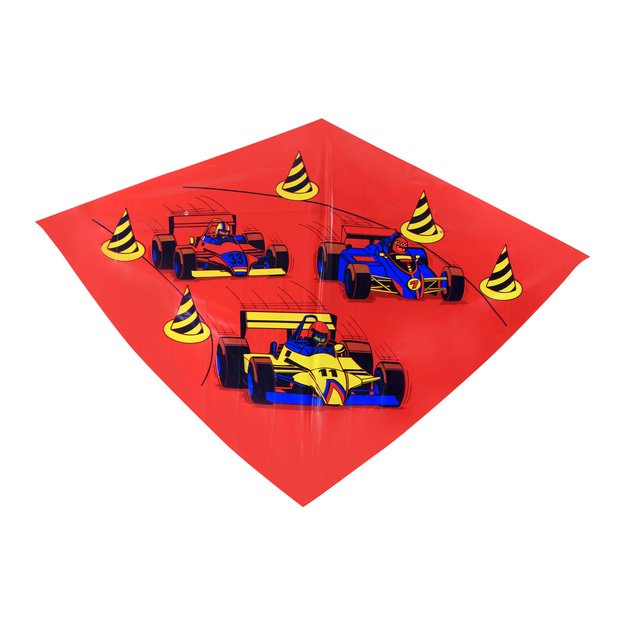 skraidantis aitvaras, 110 x 71 cm 1