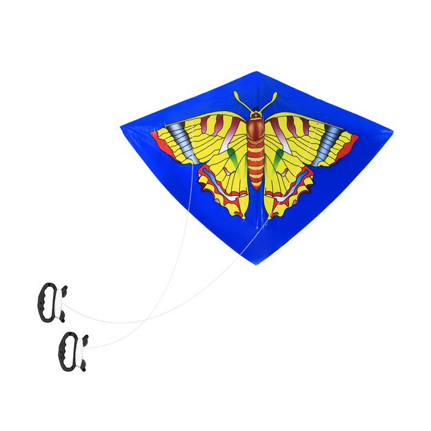 skraidantis aitvaras, 110 x 71 cm 7