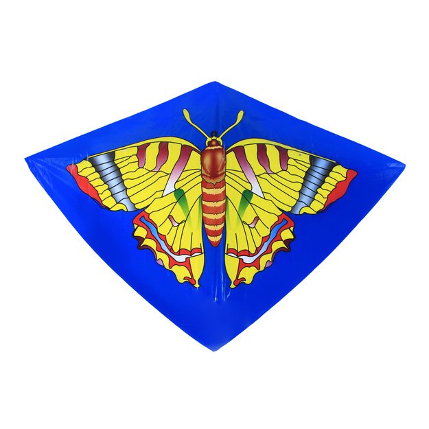 skraidantis aitvaras, 110 x 71 cm 5