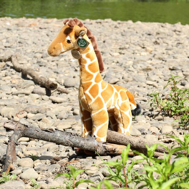 Plush giraffe 40 cm ECO-FRIENDLY 5