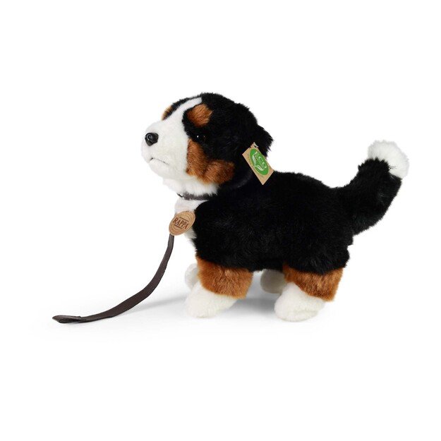 Plush Bernese 22 cm ECO-FRIENDLY 3