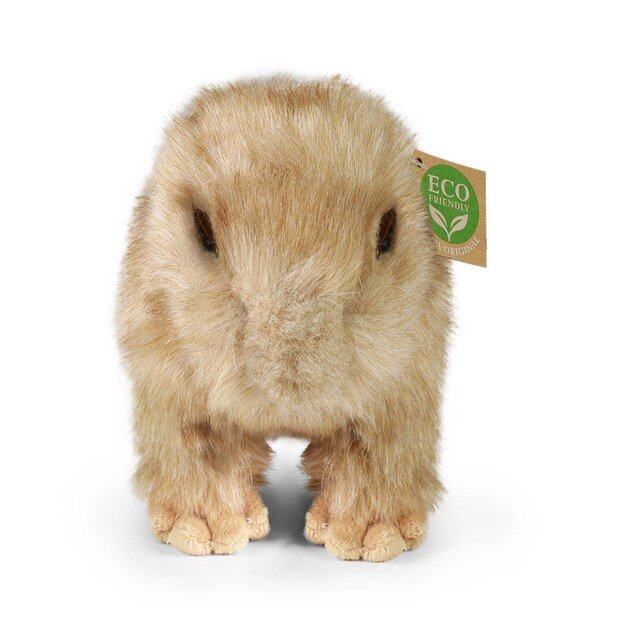 Plush capybara 30 cm ECO-FRIENDLY 3
