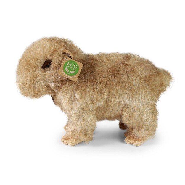 Plush capybara 30 cm ECO-FRIENDLY 2