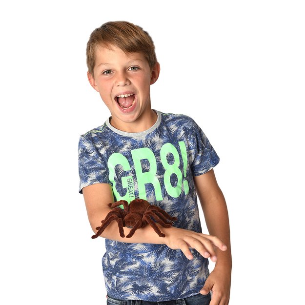 MAGANA kontroliuojamas voras 3