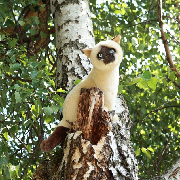 Plush Siamese cat 30 cm ECO-FRIENDLY 1