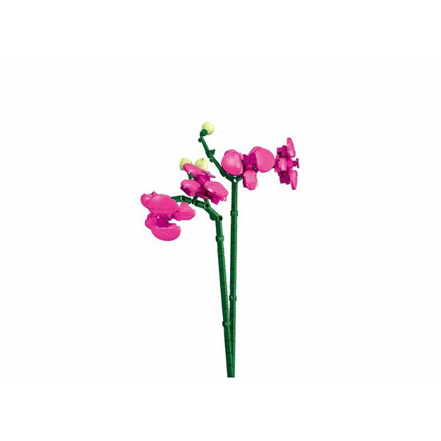 Sluban Flowers M38-B1101-12 Orchidėja 3