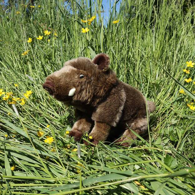 Pliušinis šernas 28 cm EKOLOGIŠKAS 5