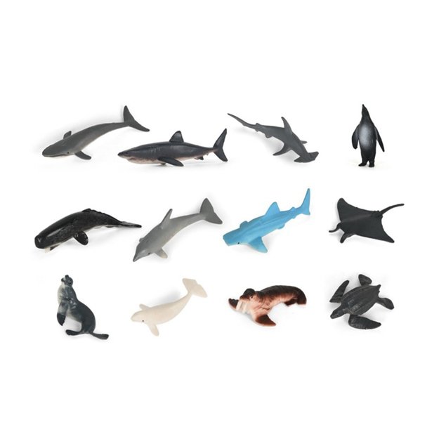 Jūros gyvūnų mišinys dėžutėje 1