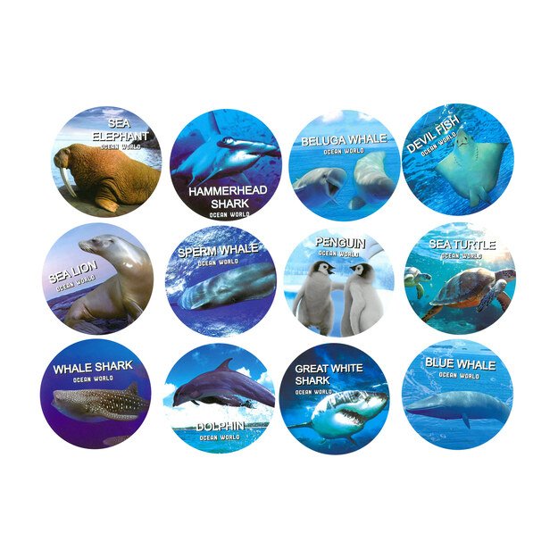 Jūros gyvūnų mišinys dėžutėje 3