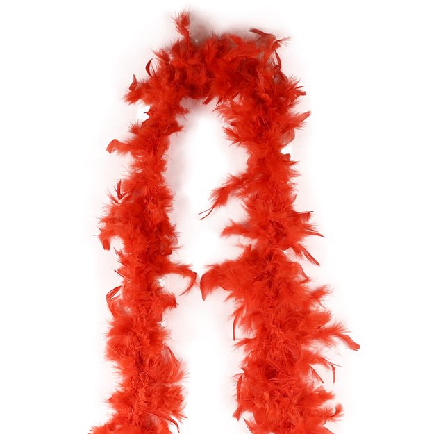 Raudonasis plunksninis boa 2 m 3