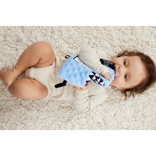 GAGAGU ANTKLODĖ AVIS IR TIGRAS 6