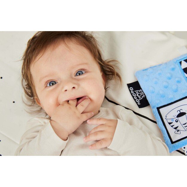 GAGAGU ANTKLODĖ AVIS IR TIGRAS 7