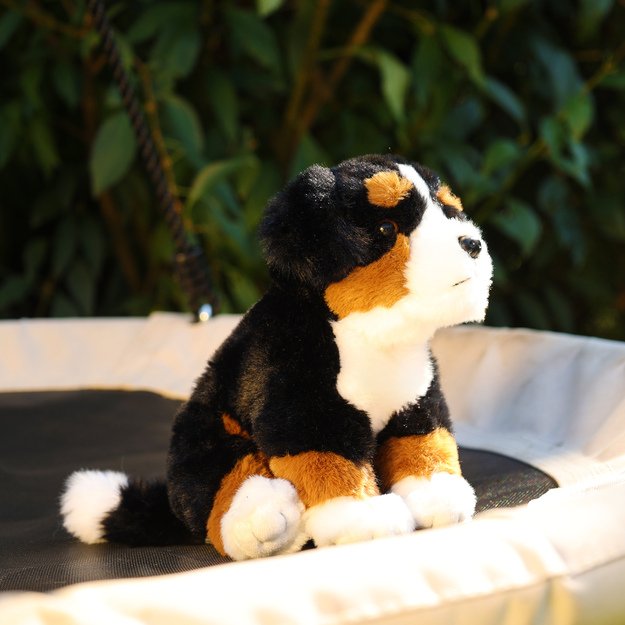 Plush Bernese Mountain dog 23 cm ECO-FRIENDLY SOFT 6
