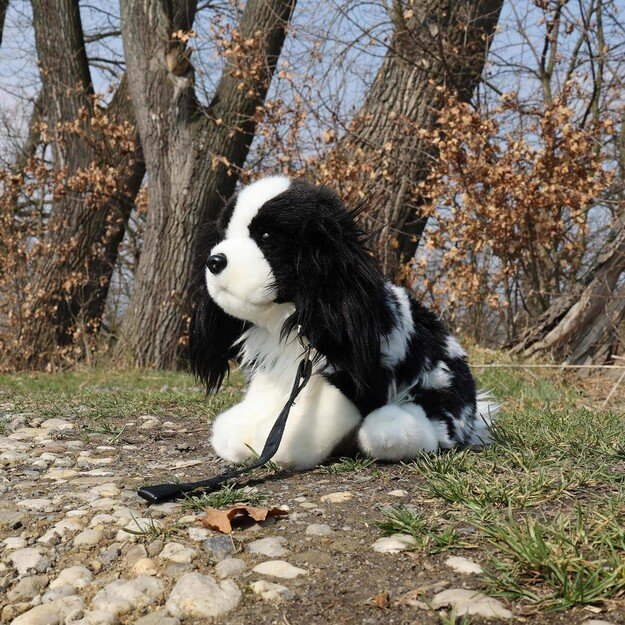 Plush King Charles Spaniel with leash 27 cm ECO-F.
