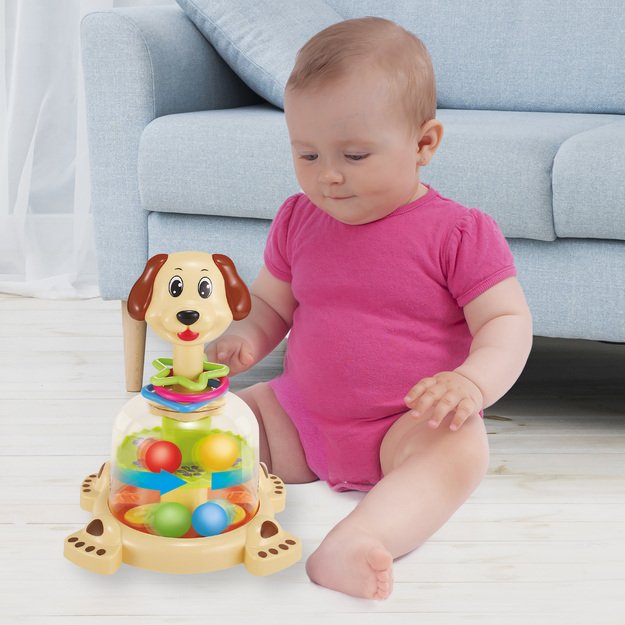 Toy with balls dog
